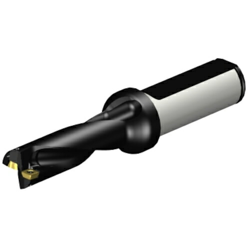 サンドビック コロマントカンパニー ＳＡＮＤＶＩＫ コロドリル８８０（百貨店Ｕせん孔機） 刃先取り替えっこ式せん孔機１５．８７５ （４６５） 【品番：A880-D0625LX19-03】