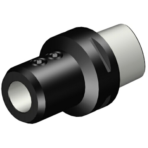 サンドビック コロマントカンパニー ＳＡＮＤＶＩＫ コロマントキャプト ウェルドン／ＩＳＯ ９７６６アダプター（５３０） 【品番：C10-A391.23-38 115】