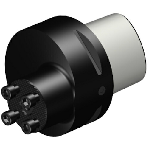 サンドビック コロマントカンパニー ＳＡＮＤＶＩＫ コロマントキャプト コロターンＳＬアダプタ（４１０） 【品番：C8-570-40-RGM】