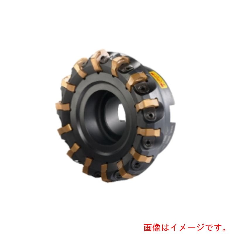 サンドビック コロマントカンパニー ＳＡＮＤＶＩＫ コロミル３６５ 向こう正面フライス裁断師（４５０） 【品番：RA365-127R38-W15H】