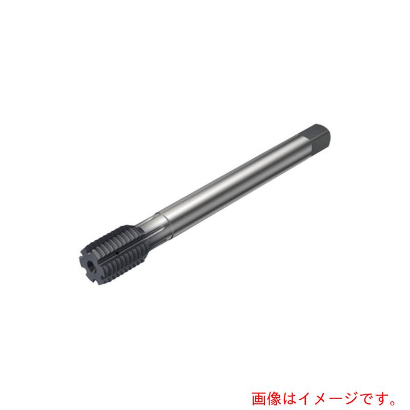 サンドビック　コロマントカンパニー　ＳＡＮＤＶＩＫ　コロタップ４００　転造タップ（７８０）　Ｎ１ＢＣ　【品番：T400-NM110DA-M5】