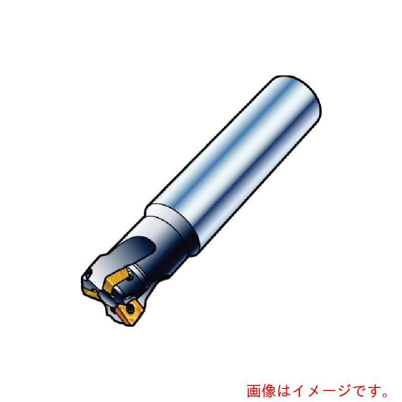 サンドビック コロマントカンパニー ＳＡＮＤＶＩＫ コロミル４９０裁断師（４５５） 【品番：490-050HA06-08M】