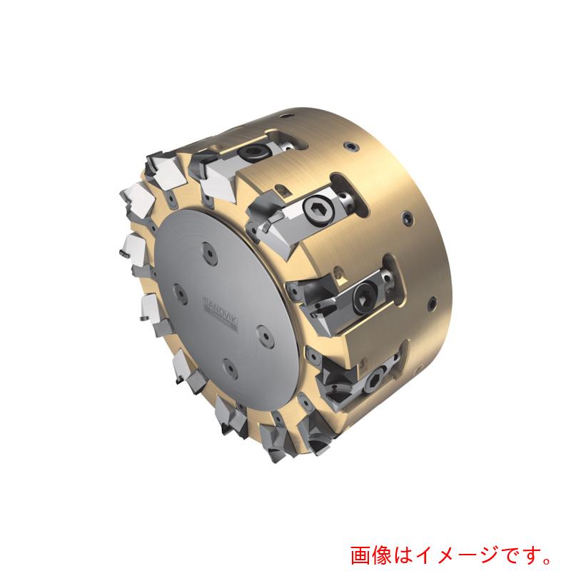 サンドビック コロマントカンパニー ＳＡＮＤＶＩＫ 軽銀アロイ専用フライス裁断師Ｍ５Ｒ９０（６３０） ＣＤ１０ 【品番：5R90-10CA08-PR10-NM】