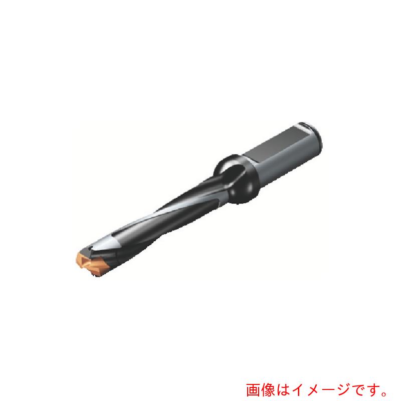 サンドビック　コロマントカンパニー　ＳＡＮＤＶＩＫ　コロドリル８７０　ヘッド交換式ドリル（４４６）　【品番：870-1100-8L16-5】