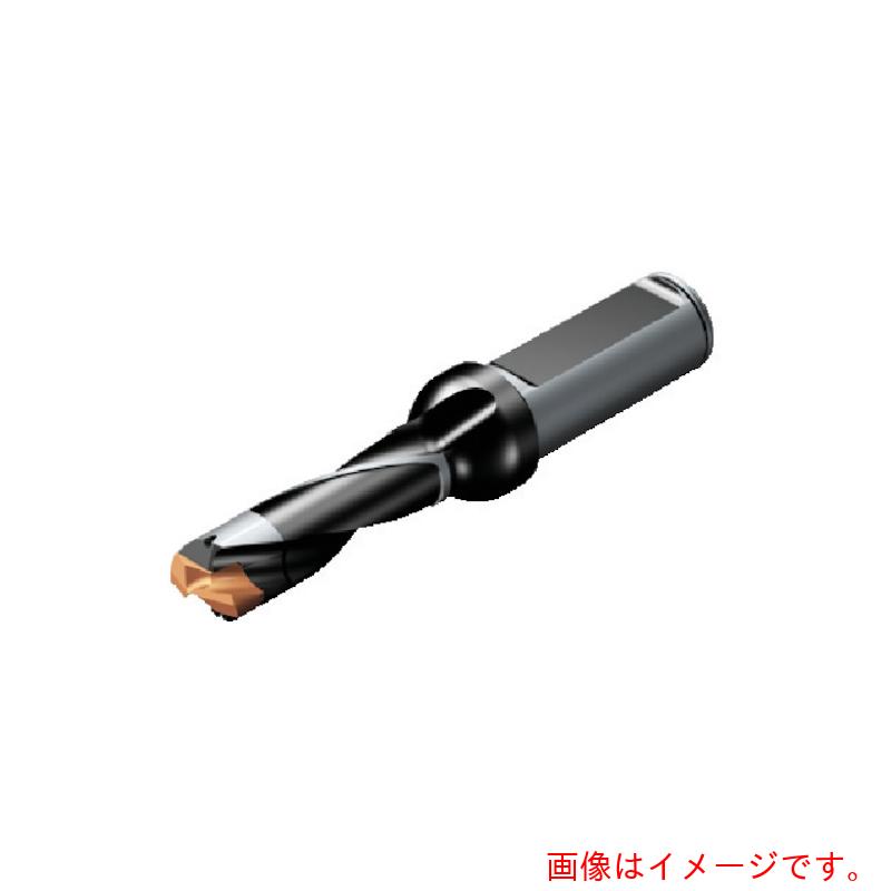【メール便対応】サンドビック　コロマントカンパニー　ＳＡＮＤＶＩＫ　コロドリル８７０　ヘッド交換式ドリル（４４６）　【品番：870-1250-11L16-5】