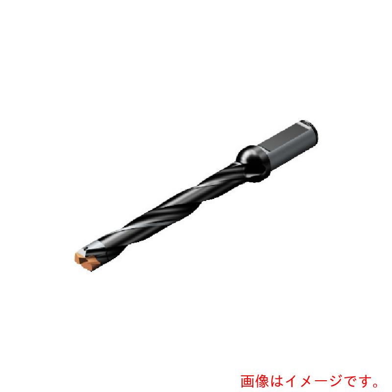 サンドビック　コロマントカンパニー　ＳＡＮＤＶＩＫ　コロドリル８７０　ヘッド交換式ドリル（４４６）　【品番：870-2500-25L32-8】