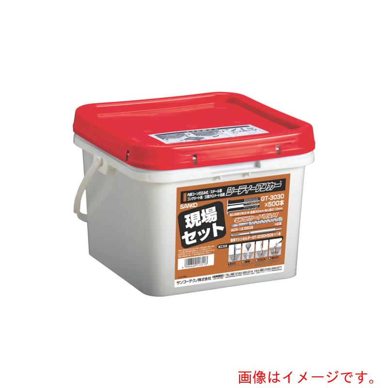 サンコーテクノ シーティーアンカーＧＴ手合い 一こま仕掛ける inねじ 【品番：GT-3030-SET】