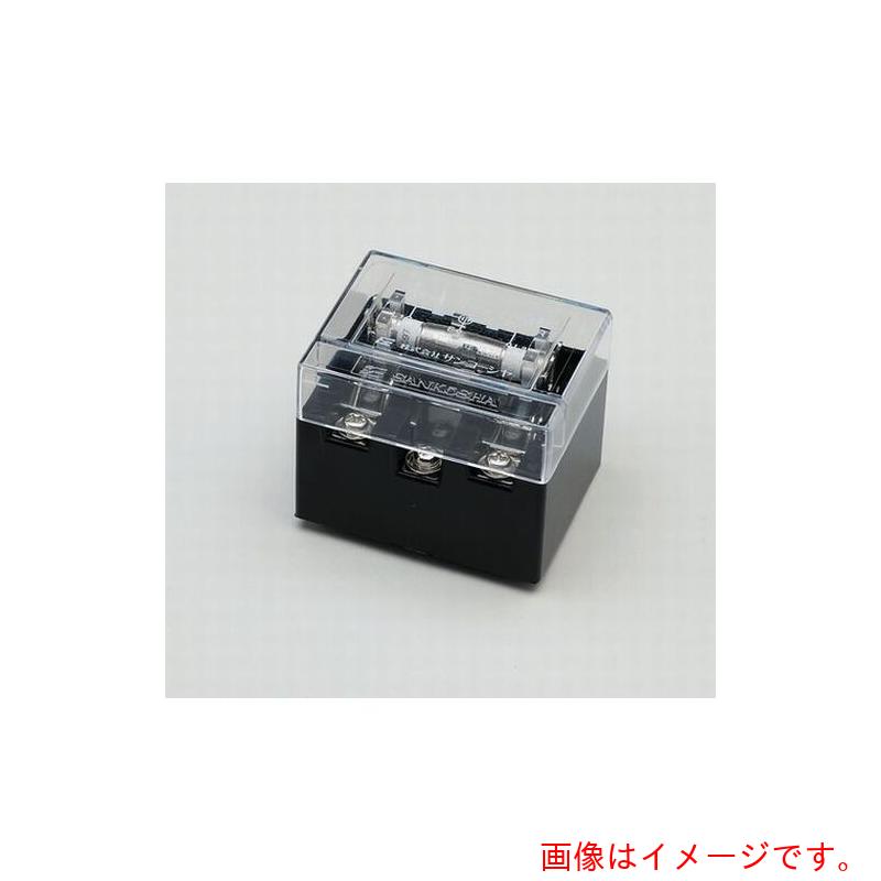 ★サンコーシャ（SANKOSHA） ワット数用保安器 ＲＰ－２００ 【品番：RP-200】