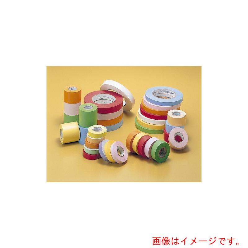 サンプラテック　タイム・テープ　Ｌ２０&minus;Ｓ　【品番：13234】｜住設プロ　店