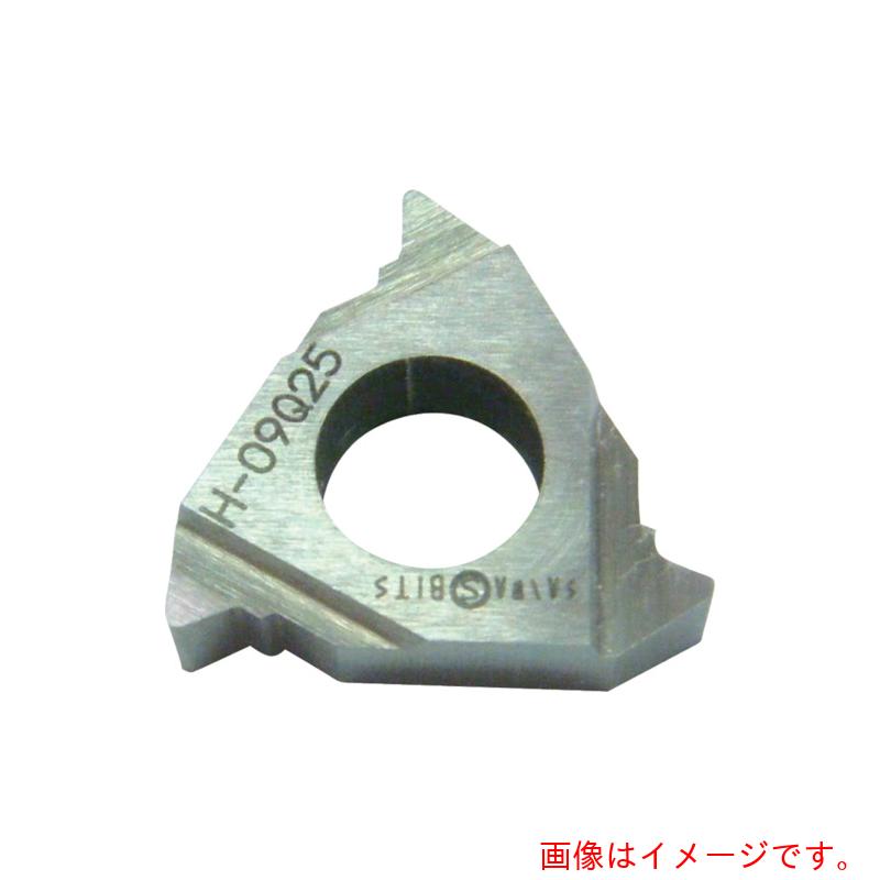 三和製作所　外径三角ネジ切チップ　【10個】　【品番：09Q20】