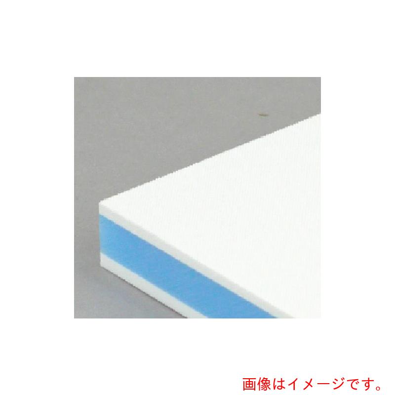 三洋化成 サンヨー カラー抗菌業務用まな板 CKB−20M 【品番:CKB-20M】|住設プロ 店