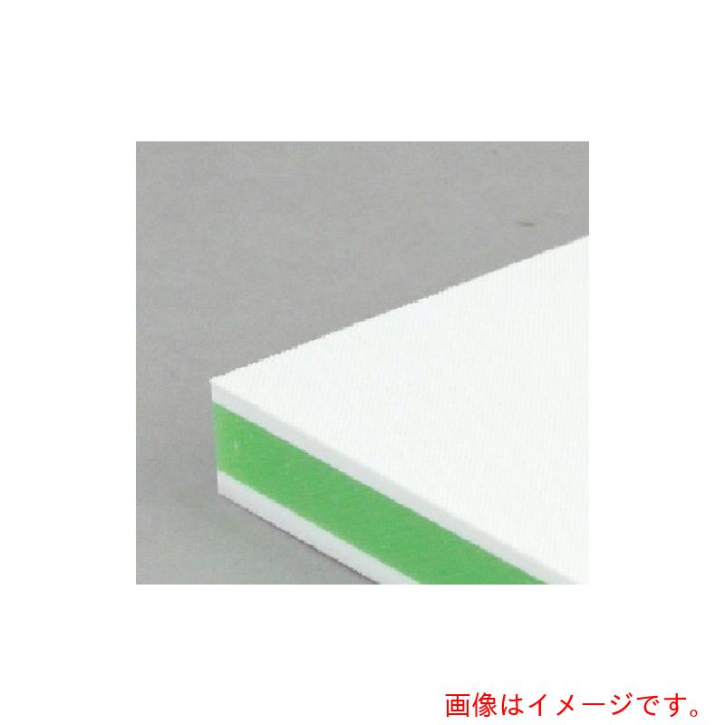 三洋化成 サンヨー 色つや抗菌お役目用まな板 ＣＫＧ－２０Ｓ 【品番：CKG-20S】
