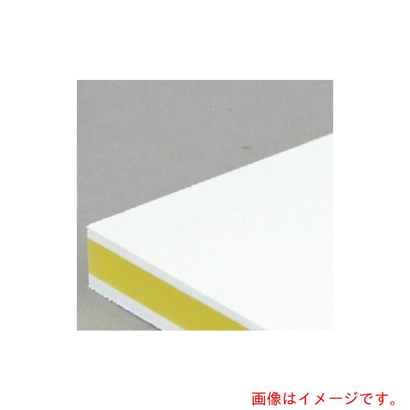 三洋化成 サンヨー 色つや抗菌お役目用まな板 ＣＫＹ－２０Ｓ 【品番：CKY-20S】