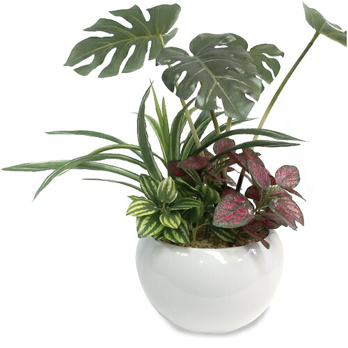 ササガワ(SASAGAWA) 人工観葉植物 モンステラ寄植え Sサイズ 【品番:32-8708】|住設プロ 店