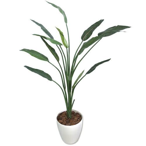 ササガワ（SASAGAWA） 人工観葉草木 ストレリチア Ｌ大きさ 【品番：32-8723】