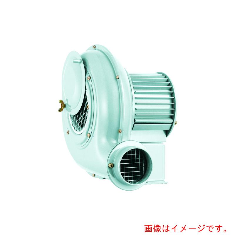 SDG 電動送風機 汎用つづき物（０．０４ｋＷ） 【品番：SB-151】 作業用冷暖房器具-DIY・工具