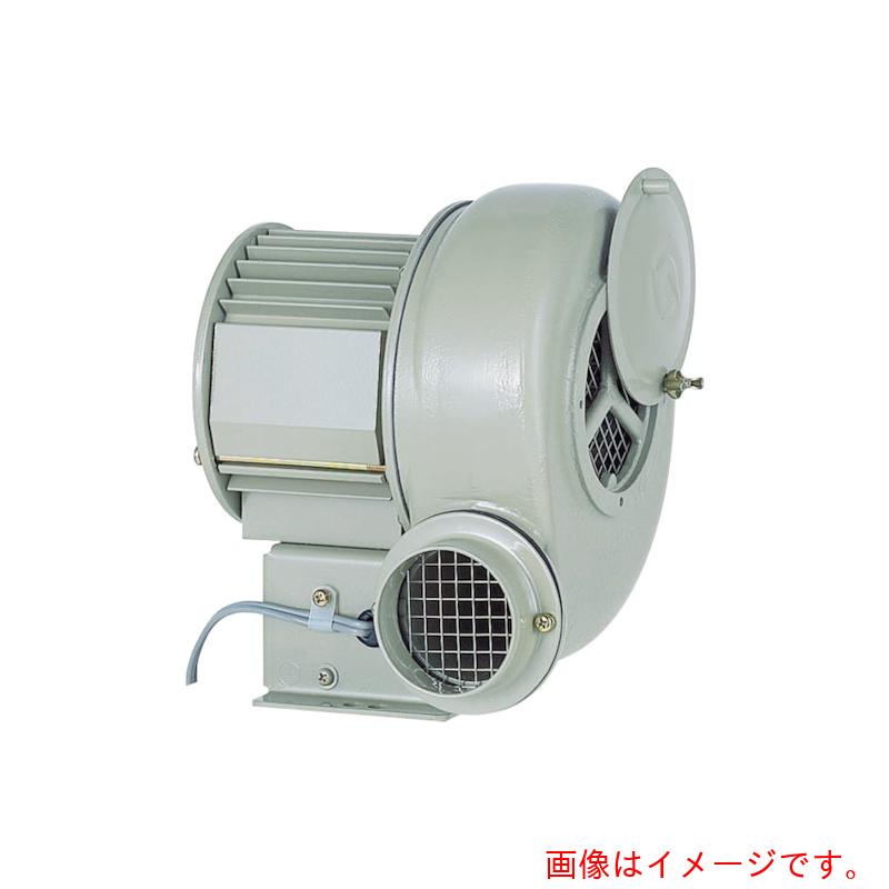 SDG 電動送風機 汎用つづき物（０．２５ｋＷ） 【品番：SB-75】