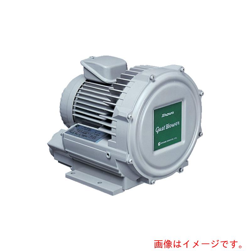 SDG 電動送風機 渦流式高圧つづき物 ガストブロアシリーズ（０．３ｋＷ） 【品番：U2V-30T】