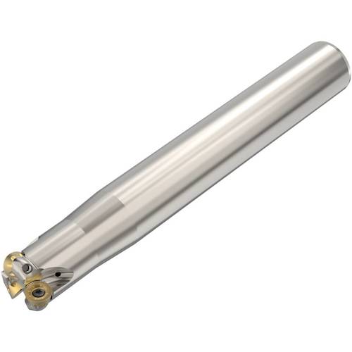 セコ・ツールズ・ジャパン（Seco）　フライス　　金型用　カッター　【品番：R217.29I-2525.0-05.3.124A】