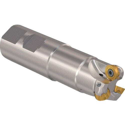 セコ・ツールズ・ジャパン（Seco） フライス 丸駒カッタ Ｒ２１７．２９Ｉー０６ 【品番：R217.29I-3232.3-06.3.060A】