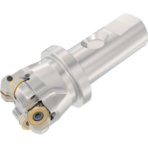 セコ・ツールズ・ジャパン（Seco）　フライス　ダブルオクトミル　Ｒ２１７．４８ー０５　カッター　【品番：R217.48-2532.3S-05-4SA】