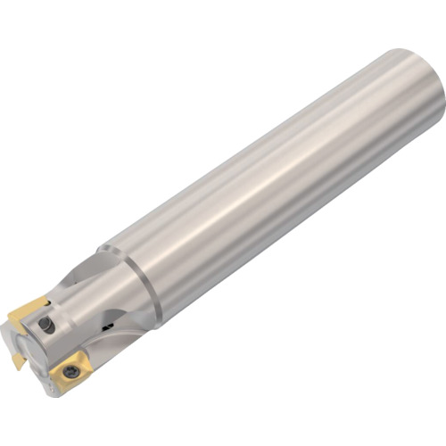 セコ・ツールズ・ジャパン（Seco）　フライス　　ターボミル　カッター　【品番：R217.69-1616.0-06-3AN】