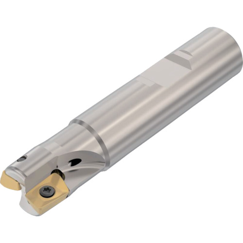 セコ・ツールズ・ジャパン（Seco）　フライス　　ターボカッタ　カッター　【品番：R217.69-1616.3-10-2A】