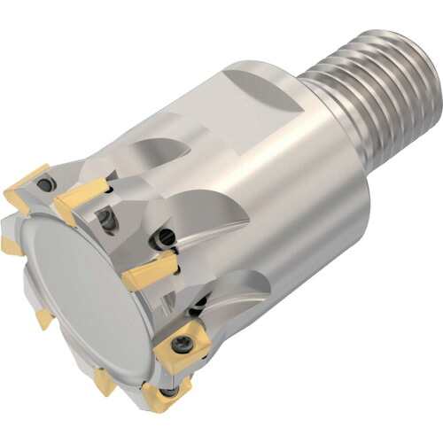 セコ・ツールズ・ジャパン（Seco）　フライス　　ターボミル　カッター　【品番：R217.69-1632.RE-06-8AN】 42,421円