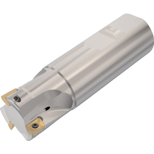 セコ・ツールズ・ジャパン（Seco）　フライス　　ターボミル　カッター　【品番：R217.69-3232.3-10-3A】