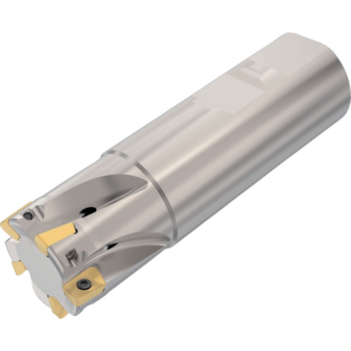 セコ・ツールズ・ジャパン（Seco）　フライス　　ターボミル　カッター　【品番：R217.69-3232.3-10-5A】 39,554円