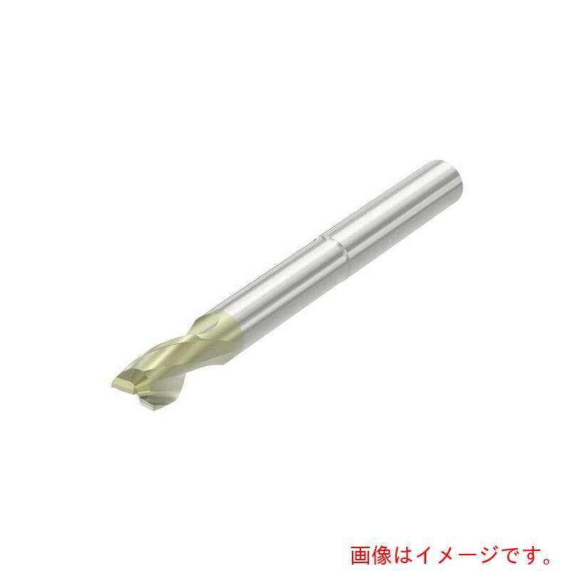 セコ・ツールズ・ジャパン（Seco） Ｓ続きもの挙げ句の果て圧砕機 軽銀製作用 Ｓ４５２１・ ＡＸＴ 【品番：S4521-100E3R050.0Z2】