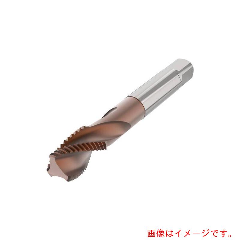 セコ・ツールズ・ジャパン（Seco）　ねじ切りタップ　Ｔ３５－Ｒ１５・　【品番：T35-R15S02C05-10X1-65R-H】