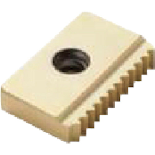 セコ・ツールズ・ジャパン（Seco）　フライス用　ねじ切り用インサート　【2個】　【品番：25NM1.0ISO】