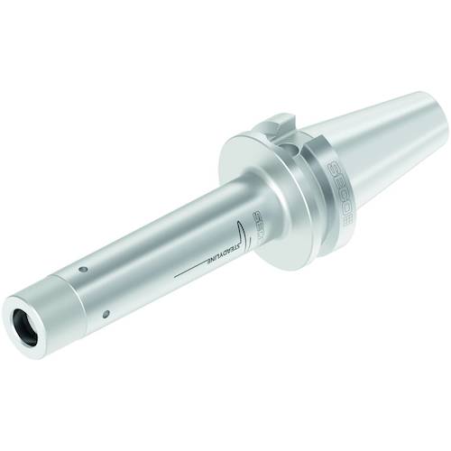 【別途送料あり】セコ・ツールズ・ジャパン（Seco）　フライス　　金型用　カッター　【品番：BT50ADB-M20-185-K】