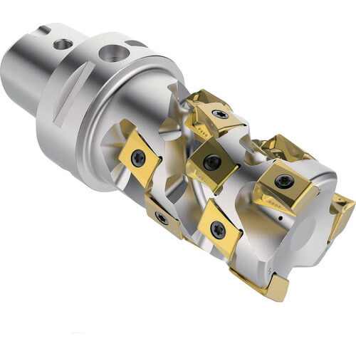 セコ・ツールズ・ジャパン(Seco) フライス スクエアT4カッター 【品番:C6-R217.94-050-081-12.4SA】