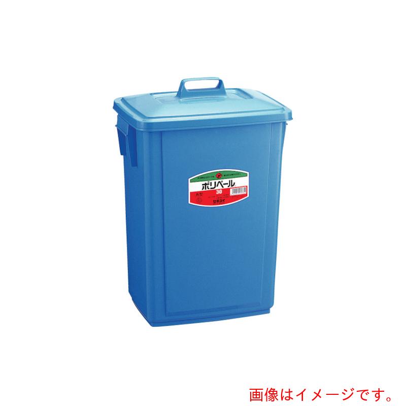 【別途送料あり】積水テクノ成型（SEKISUI）　角　ペ－ル　フタ　＃３０　【10個】　【品番：PK30FB】