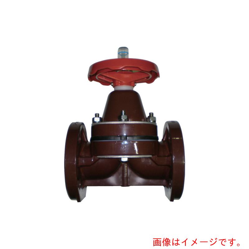 【別途貨物輸送あり】積水化学工業（SEKISUI） エスロン ダイヤフラム 本体：ＨＴ 隔壁：ＥＰＤＭ １０Ｋフランジ ２５Ａ 【品番：DTEF25】