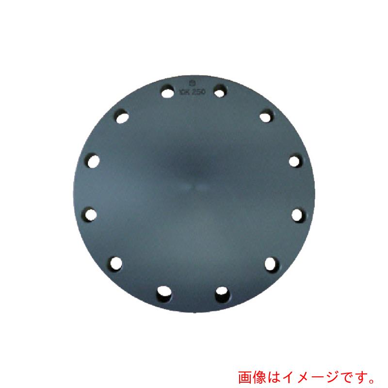 積水化学工業（SEKISUI）　エスロン　板フランジＳＢ型　２５０　ＪＩＳ１０Ｋ　ＰＶＣ　【品番：FSB2F】｜住設プロ　店 17,053円