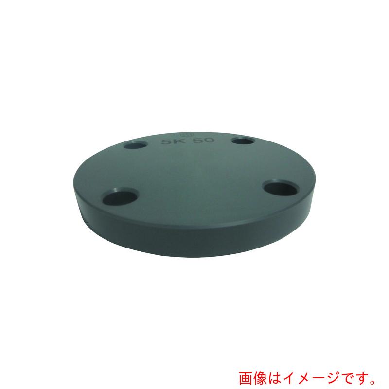 【別途貨物輸送あり】積水化学工業（SEKISUI） エスロン 板フランジＳＢ型 （本体材質－ＰＶＣ）－ＪＩＳ５Ｋ ３００ 【品番：FSB3H5】