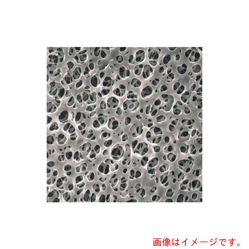 柴田科学(SIBATA) メンブレンフィルター C045A293C 25入 【品番:064320-293045】|住設プロ 店