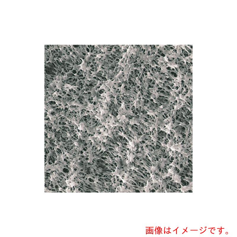 柴田科学（SIBATA）　メンブレンフィルター　Ｈ０２０Ａ０２５Ａ　１００入　【品番：064410-025020】