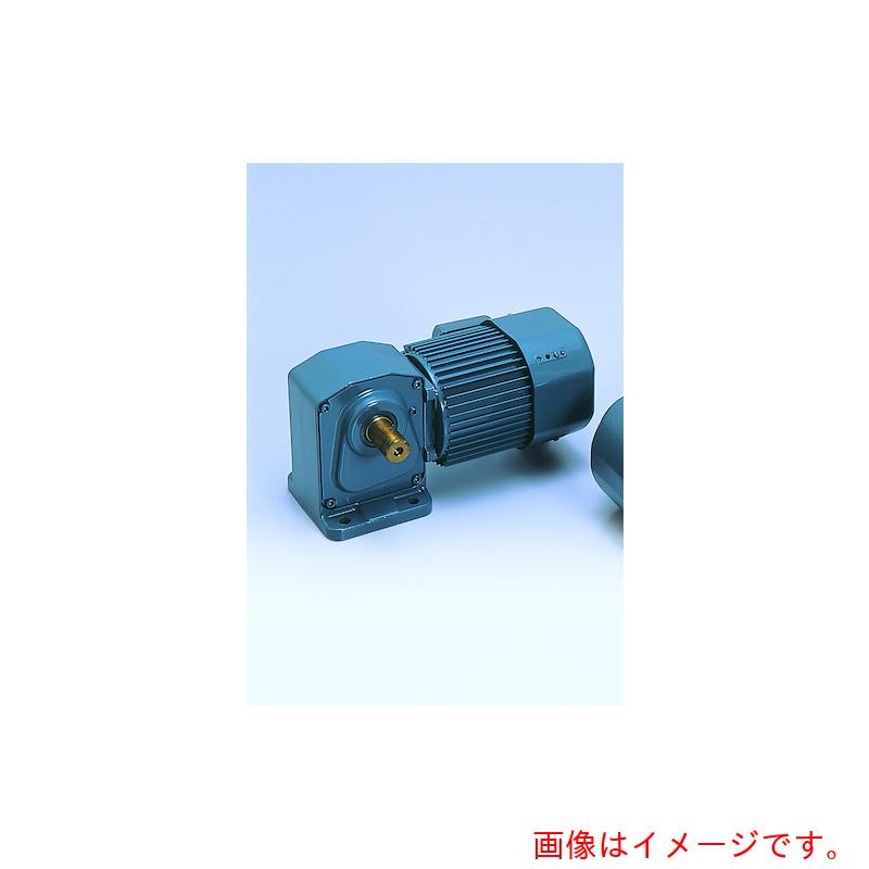 シグマー技研 高効率IE3、直行中空軸三相750W脚取付形ギアモーター 減速比1/5 【品番:TMHL-08E-5】|住設プロ 店