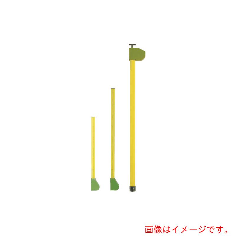 宣真工業　メジャーポール２０２－６ｍ　【品番：202-6】 36,823円