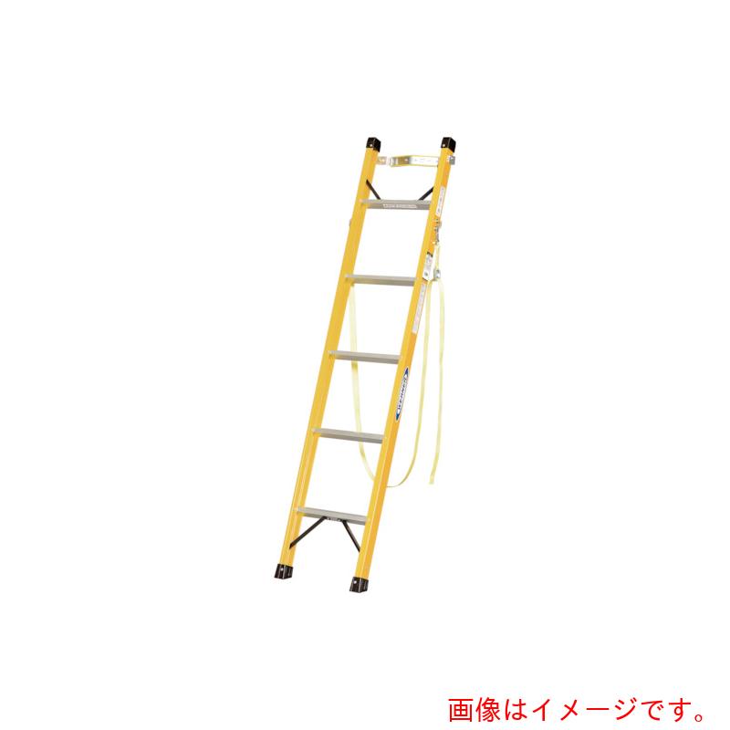 【別途貨物輸送あり】宣真実業 不成立掛けはしご１連掛けはしご 【品番：E-1L24G】