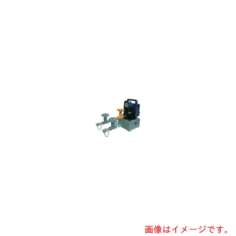 【別途貨物輸送あり】ダイキ（DAIKI） 小型電動油圧揚水機２連式 【品番：DD-450AW-2】