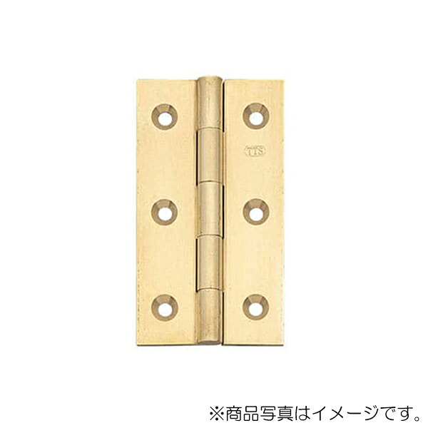 スガツネ工業　角丁番 TTS型　【品番：TTS-109M】