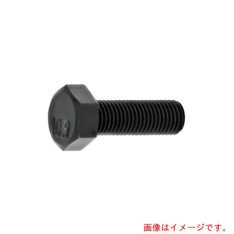 サンコーインダストリー（SUNCO）  １０．９ 六角雄捩子 （全螺子釘（所せまいＰ１．５ １６Ｘ１７０（１．５ （15本入） 【品番：B0-00-0454-01601700-00】