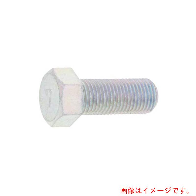サンコーインダストリー（SUNCO）　三価ホワイト　７）小型六角ＢＴ　全ねじ　細目　馬場（ＢＢ）　１２Ｘ５５（１．２５　（６０本入）　【品番：B0-00-75V4-01200550-03】