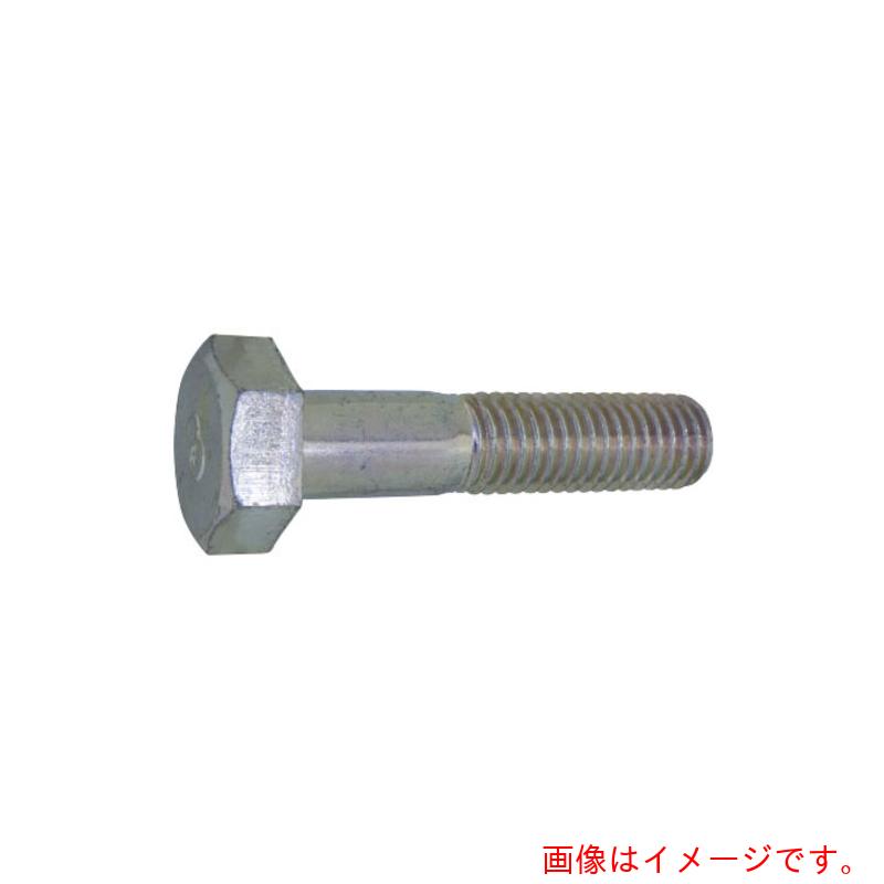 サンコーインダストリー（SUNCO） 三価白いこと ８目じるしＢＴ（半螺旋釘 １０Ｘ１２０ （４０本入） 【品番：B0-00-8010-01001200-03】 その他-DIY・工具-花・ガーデン・DIY