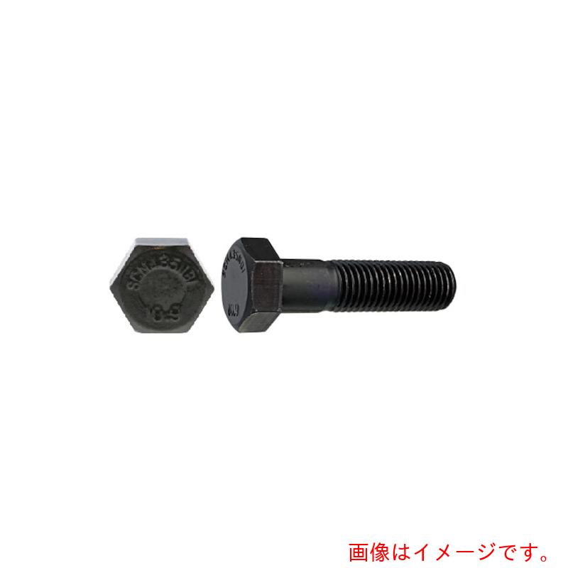 サンコーインダストリー（SUNCO） 緑であること １０．９ 六角雄捩子 ＮＢＩ ２０Ｘ７５Ｘ４６ （２５本入） 【品番：B0-00-B400-02000750-14】